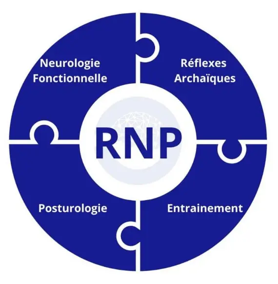 Neuro ✧ Posturologie 