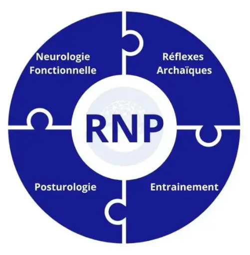 Neuro ✧ Posturologie 
